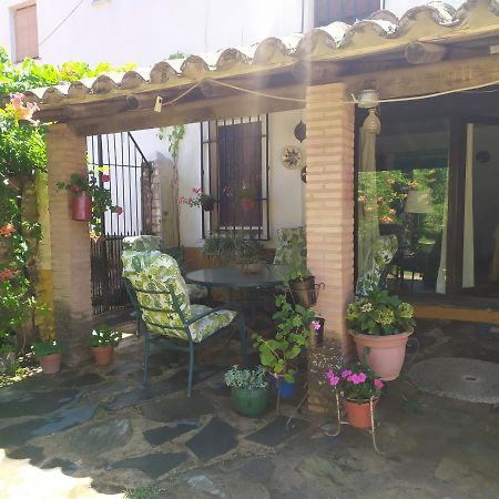 科迪加纳Alojamiento Rural La Noria别墅 外观 照片